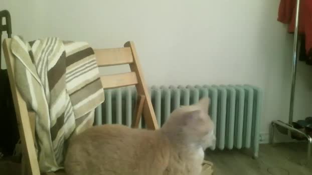 whiteboyslim21 01-02-2026 video naughty