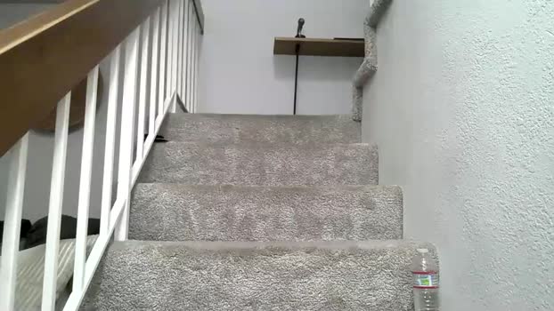 nb913 03-02-2026 video fuckface