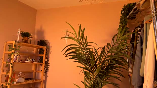 vixenp Chaturbate Female 03-02-2026