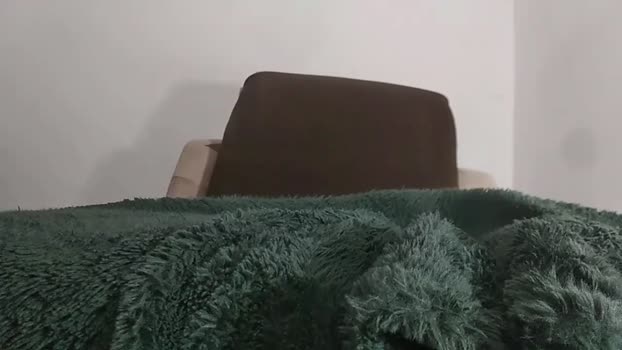 alotofcream 05-02-2026 video nasty