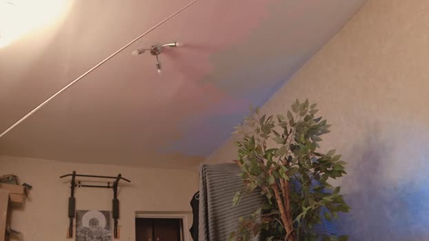 bulatov_x 06-02-2026 video kissing