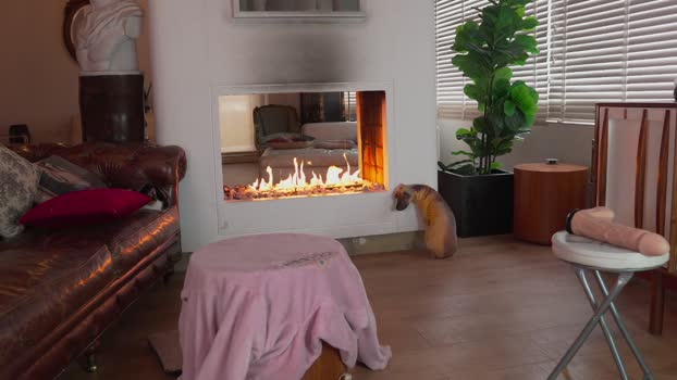 nuryforerogh Chaturbate Female 06-02-2026