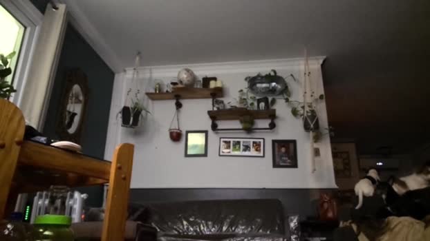 urdreamswonder Chaturbate Couple 08-02-2026