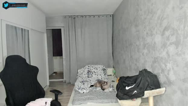 hogrider192 08-02-2026 video jerking