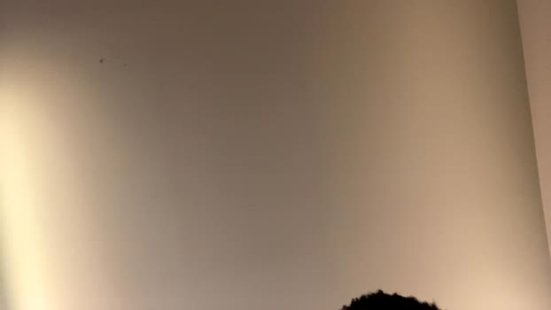 brick280446 11-02-2026 video hardcore