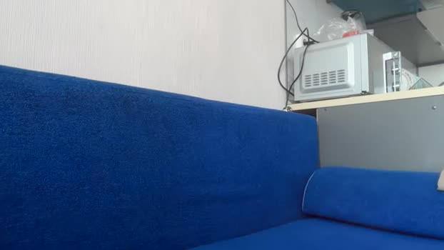 domd3 11-02-2026 video sexybody