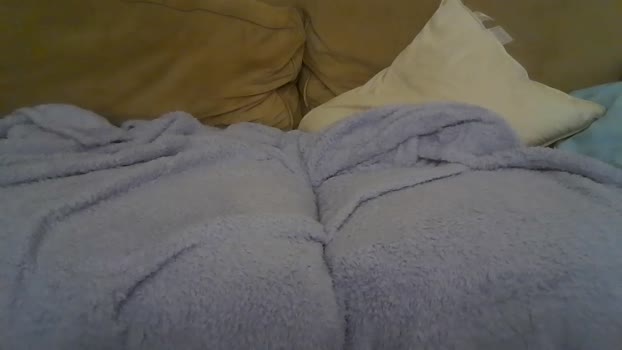 tazzythecat 11-02-2026 video squirt