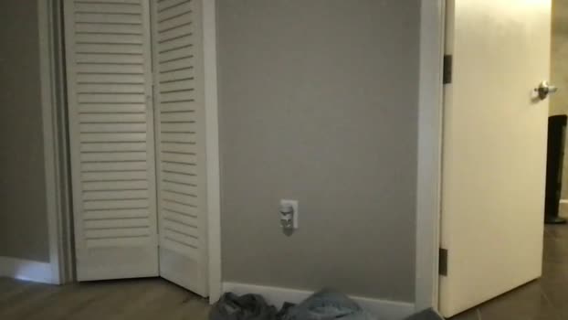 sstt93215 14-02-2026 video bigballs