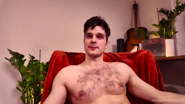 waynenorth 14-02-2026 video lovense