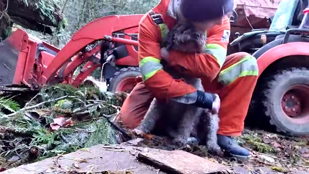 info_chat 19-02-2026 video spank