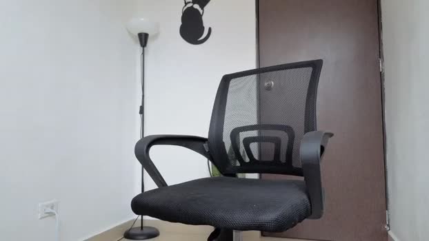 arteemiis 20-02-2026 video skinny