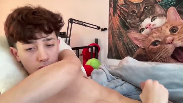 borisviper 20-02-2026 video bigass