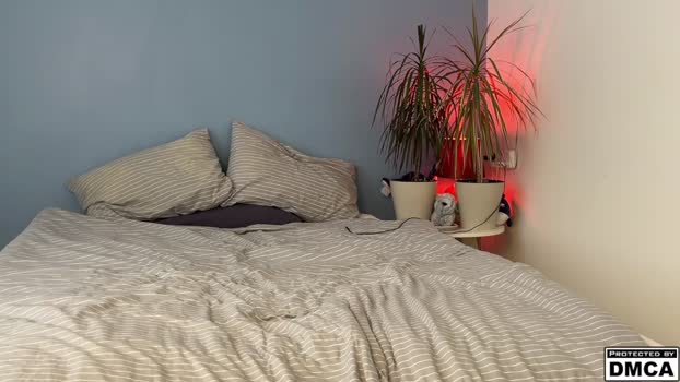 lucacharm 20-02-2026 video gag