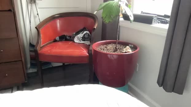 daddysfavorite01 24-02-2026 video kink