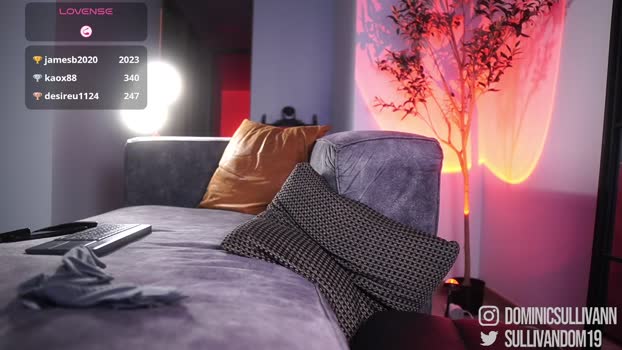 dominic_sullivan1 25-02-2026 video Webcam