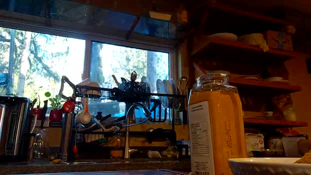 info_chat 24-02-2026 video suckcock