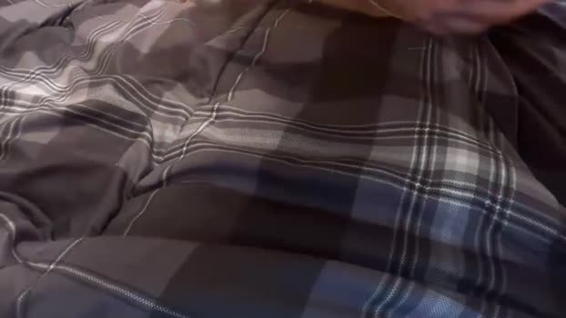 latinabellaa Chaturbate Female 25-02-2026