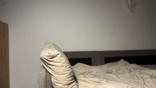 sunshinealex 04-03-2026 video sexykitty