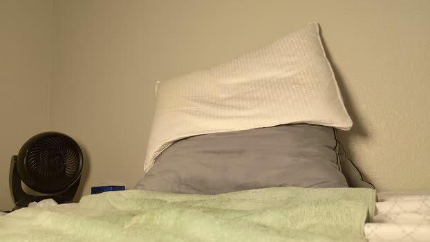 texhotcock 06-03-2026 video toys