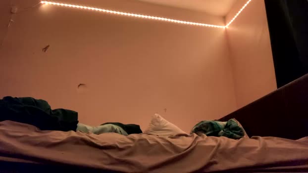 brick280446 08-03-2026 video Download