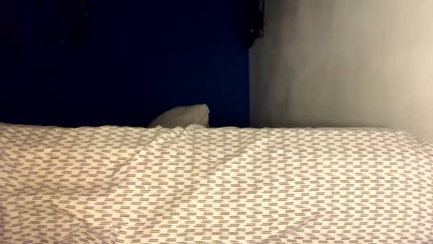 dabeibe 08-03-2026 video Video