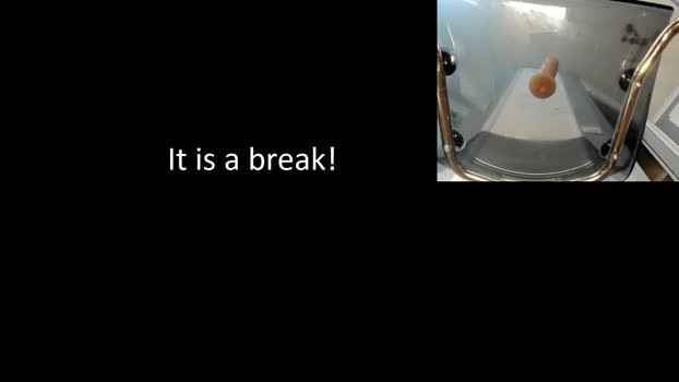 adam_porrter 08-03-2026 video cute