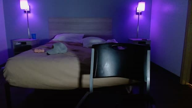 thelincolngrey 12-03-2026 video Webcam