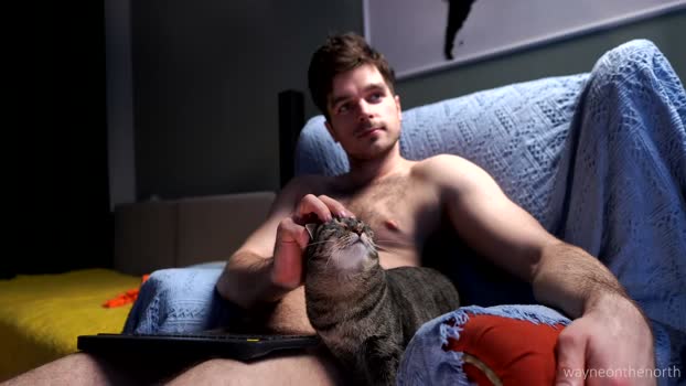 waynenorth 15-03-2026 video strip