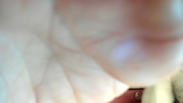 hardworkertn 16-03-2026 video Naked