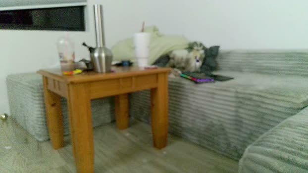 sircheese69x2 18-03-2026 video kissing