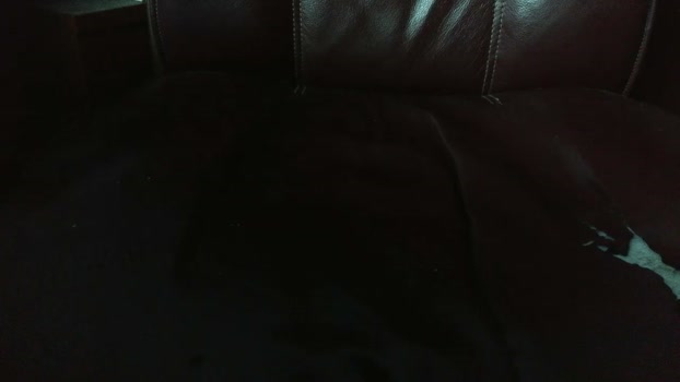 verylittletiny 17-03-2026 video sexymale