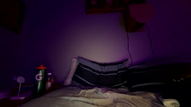 zebrasandgazelles 18-03-2026 video toys