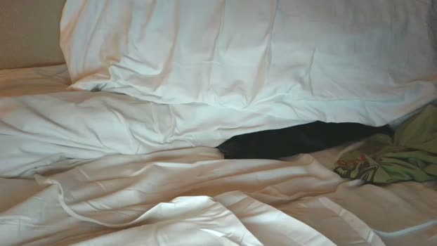 blaze_thickwood 19-03-2026 video Topless