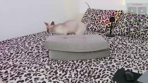 leonlure 20-03-2026 video prettyface