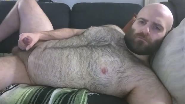 hairiestbear 29-03-2026 video analtoy