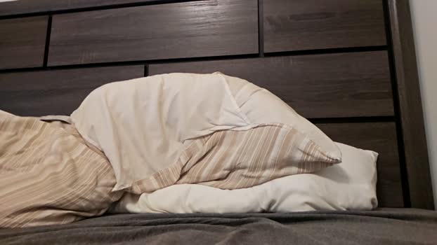 jay22409 28-03-2026 video playtime