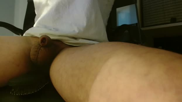 lolpet123 02-04-2026 video fuckface