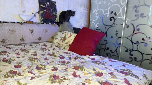 stick_twix 07-04-2026 video skinny