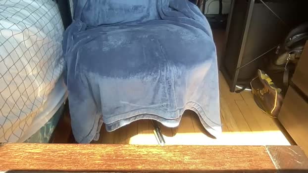 daddysfavorite01 07-04-2026 video bigtoys