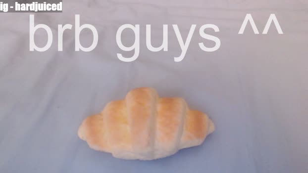 pawclaw 08-04-2026 video kiss