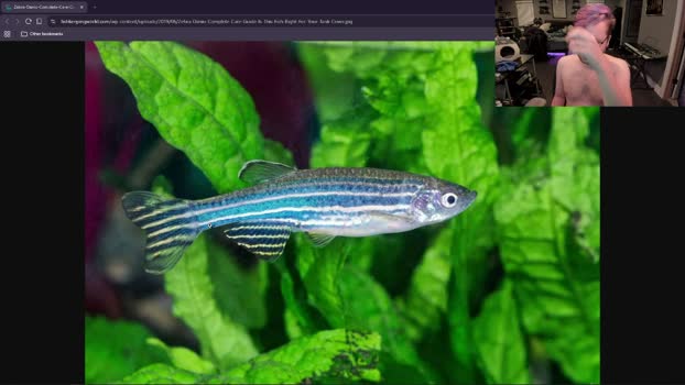 booker_baxton 10-04-2026 video cute