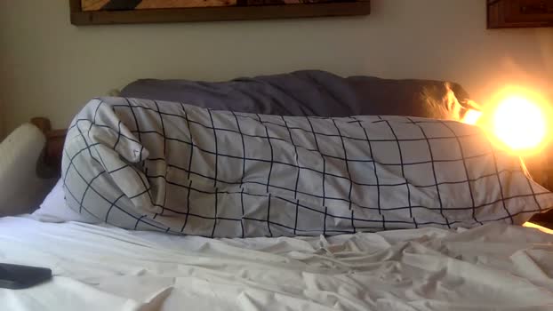 sbshowoff 09-04-2026 video horny