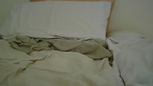 reddead7100 11-04-2026 video toy