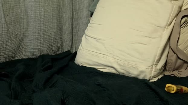 poppunk4life 16-04-2026 video ass