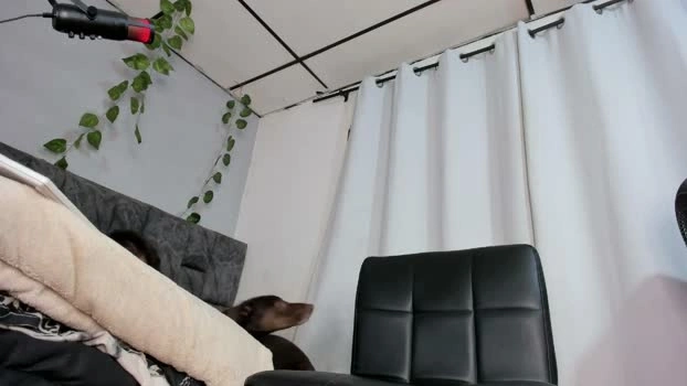 kiryto_babyhot1 22-04-2026 Gay Recording - naked boobs