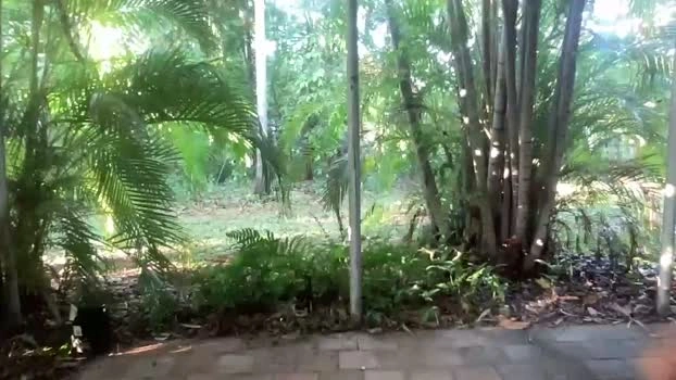 aussiemuscledad 30-04-2026 Gay Recording - sexymale Recorded