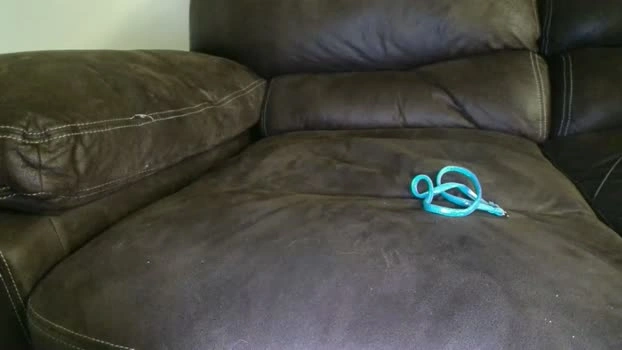 bigdicktrannynicole 01-05-2026 Gay Recording - jerkoff blowjob