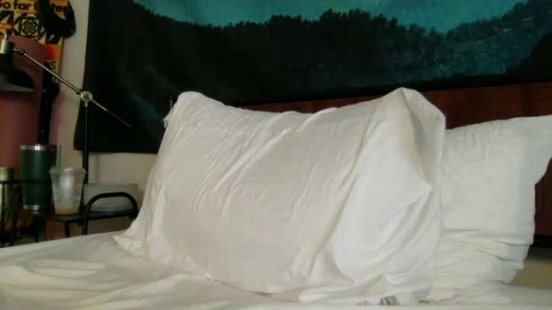 thehairyprince 07-05-2026 Gay Recording - jerkoff strip