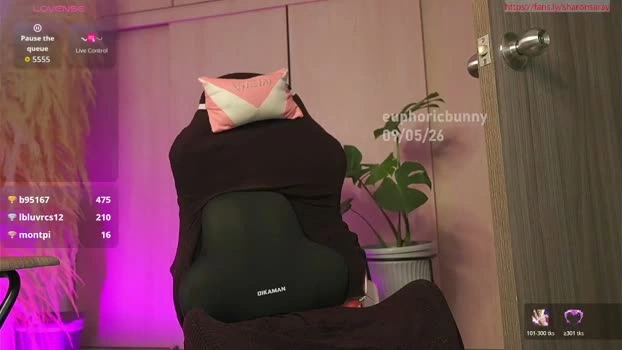 euphoricbunny 10-05-2026 Gay Recording - yummy Shemale