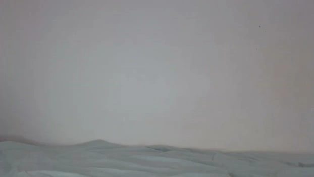 ms_sunny_sunshine 20-05-2026 suckcock playtime lush big Recording